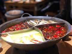 -白乐天毛肚火锅馆(解放碑店)