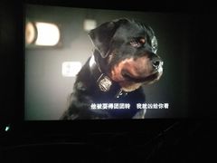 -博纳国际影城(铜锣湾激光巨幕杜比店)