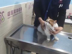 -哆趣宠物医院·眼科·内镜·急重症转诊中心(上海店)