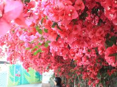 -有红鸡毛店·川菜(建设路店)