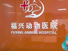 -瑞派福兴宠物医院犬猫全科·骨科·中西医结合(河东店)