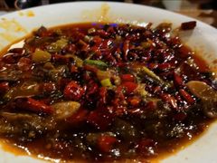 -令狐冲·炭烤活鱼(宝龙店)