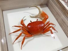 -摩登百货(岗顶店)