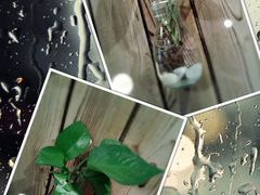 -和枫(众意路店)