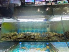 水产区-老东镇啤酒屋海鲜加工·蒸汽海鲜·海鲜烧烤(台东店)