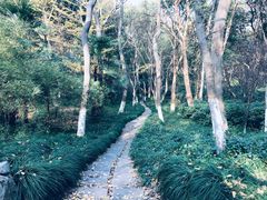 景点-赭山公园