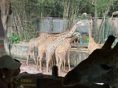 -长鹿旅游休博园
