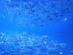 -成都浩海立方海洋公园