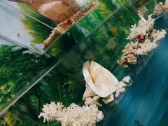 -厦门海底世界