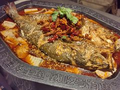 -马有鱼·馕坑烤全鱼(美美2店)