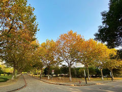 -上海第二工业大学(金海路校区)