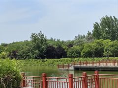 -西安汉城湖景区