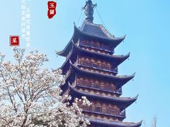 -常熟方塔园