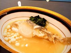 -沈灶河豚宴·河豚融合餐厅(汉中路店)