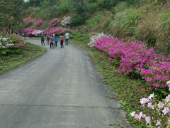 android_upload_pic-广州市石门国家森林公园