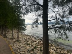 -大理洱海