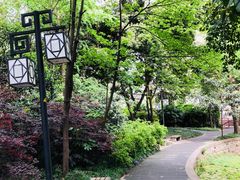 -成都市活水公园