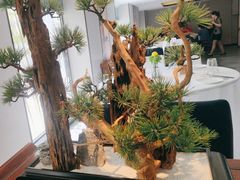 -顺峰(农展馆店)