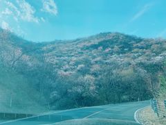 -妙峰山风景名胜区