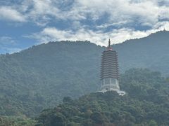 -深圳仙湖植物园