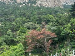 -崂山仰口游览区