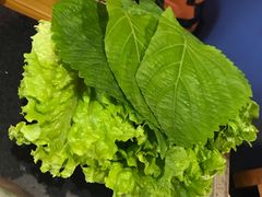 苏子叶-朴贞子·高丽轩(二拨子店)