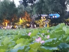 -郭守敬纪念馆