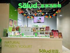 -Salud撒露欧洲冻酸奶(北苑上品店)