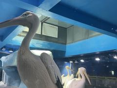 -泉城欧乐堡海洋极地世界