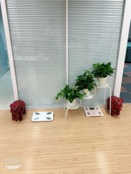 -维纳斯专业减肥