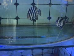-日照大牌檔•小船海鲜(万平口店)