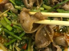 招牌炒鱼肚-潮汕铺老店(甜水井店)