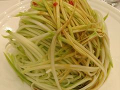 -碧丽宫大酒店(召稼楼店)