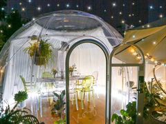 -春树下·树屋花房西餐厅(罍街AS1980店)