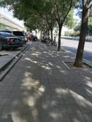 -圣嘉新医疗美容医院