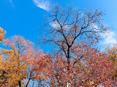 -东山风景区(洞庭东山)