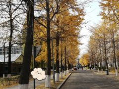 -东北大学(南湖校区)