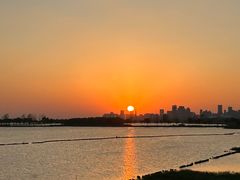 -合肥滨湖国家森林公园