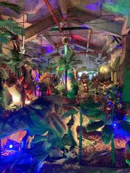 点击看大图 -恐龙探索乐园(磁器口店)