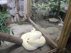 -上海大自然野生昆虫馆(东方明珠·爬宠昆虫探索中心)
