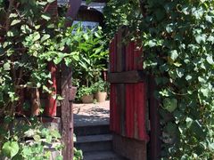 iphone_upload_pic-斯多格书乡(北京大学畅春园店)