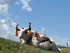 -青海湖国家重点风景名胜区