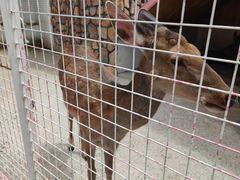 -金庭庄园酒店-停车场