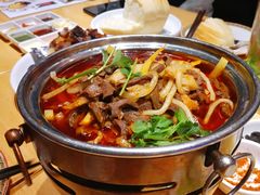 红汤羊杂-蒙料·手把肉(望京店)