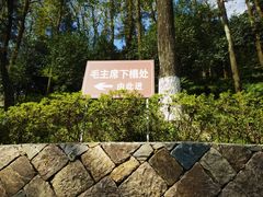 -莫干山风景区