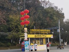 -邓氏兔头