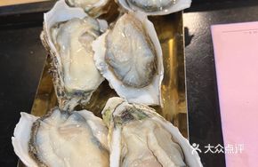 Softshell Turtle and Oyster Stew