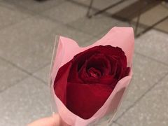 -海底捞火锅(正大乐城店)