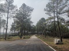-游子山休闲旅游区