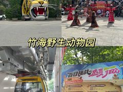 -栾川竹海野生动物园